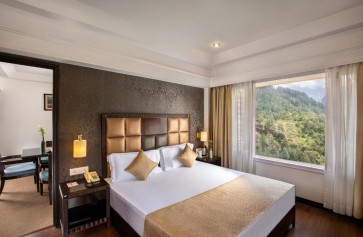 Mountain View Room